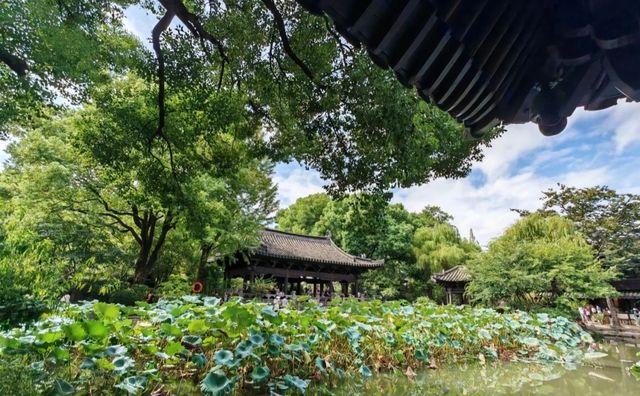 拜託了，聽勸！沈園遊覽，這些雷區你絕對要避開！