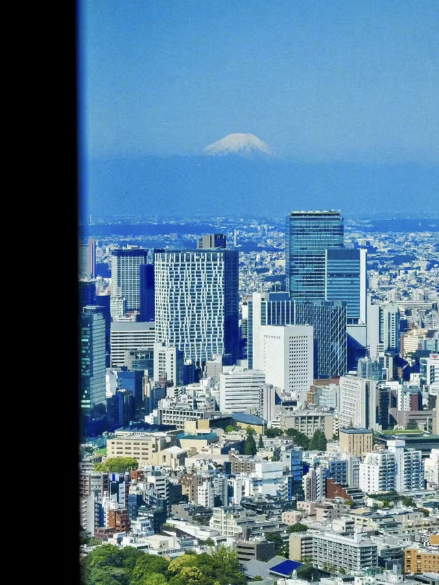 都市靜謐，奢華之境—東京麗思卡爾頓酒店