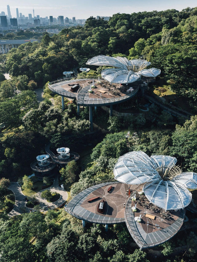 廣州全新植物園雲蘿植物園遊玩攻略。