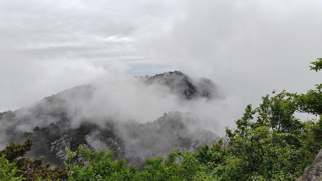 來廬山打卡景點