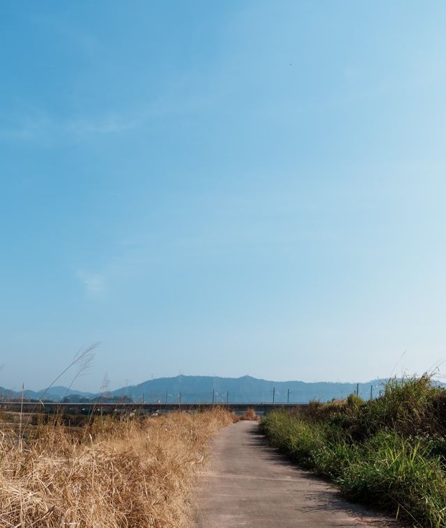 光明湖水利風景區，深圳的生態明珠