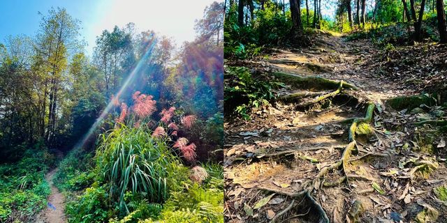 重慶行山|雙碑千佛崖