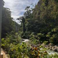 Kawasan Falls! 