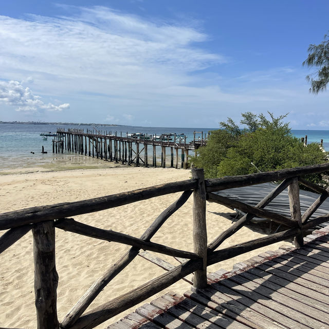 The old tortoise sanctuary in Zanzibar 