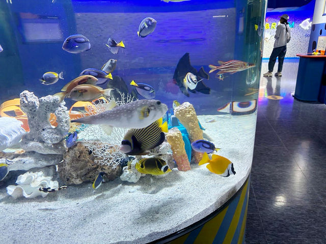 COEX水族館，夏天室內好地方