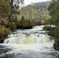 Cradle Mountain's Majestic Allure