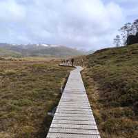 Tasmania Cradle mountain 