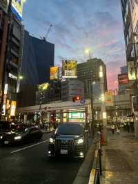 Tokyo Tower to Roppongi: A Stroll Through Time and Skyline Splendor