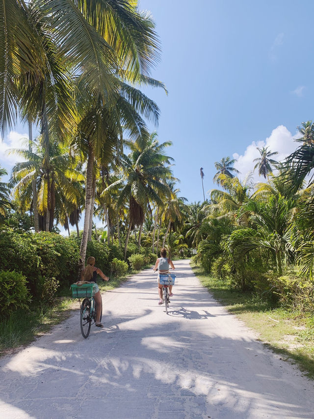 Anse Source d’Argent: Your Slice of Beach Bliss Awaits!