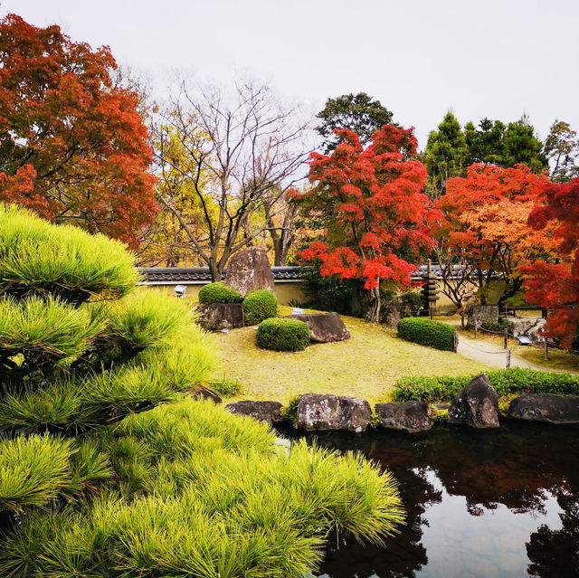 Nature’s Palette: Autumn Bliss at Kokoen Garden, Himeji!