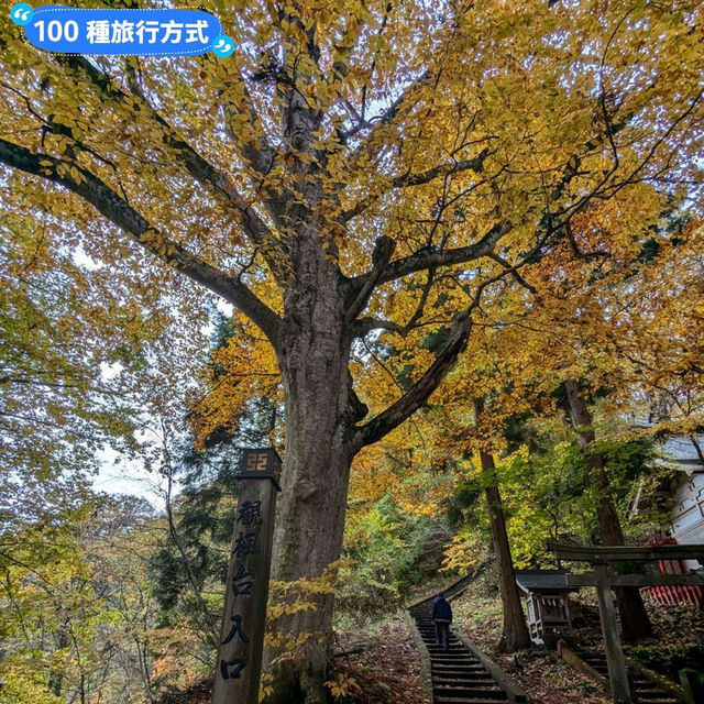 金黃漫紅，日本東北賞銀杏景點分享