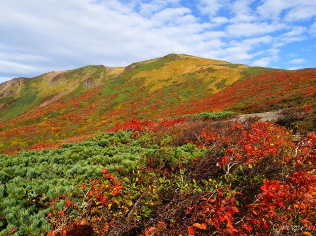 【宮城県】「神の絨毯」で知られる栗駒山の絶景紅葉