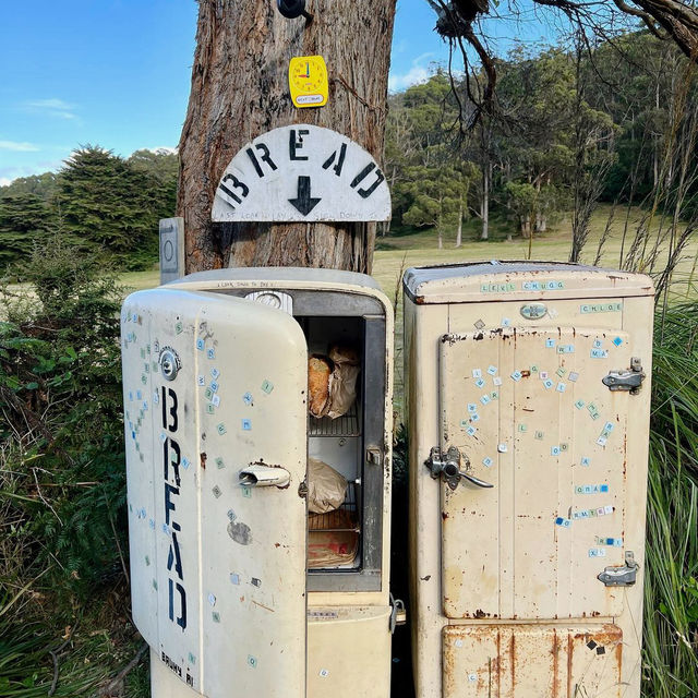 Bruny Island: Tasmania’s Coastal Paradise