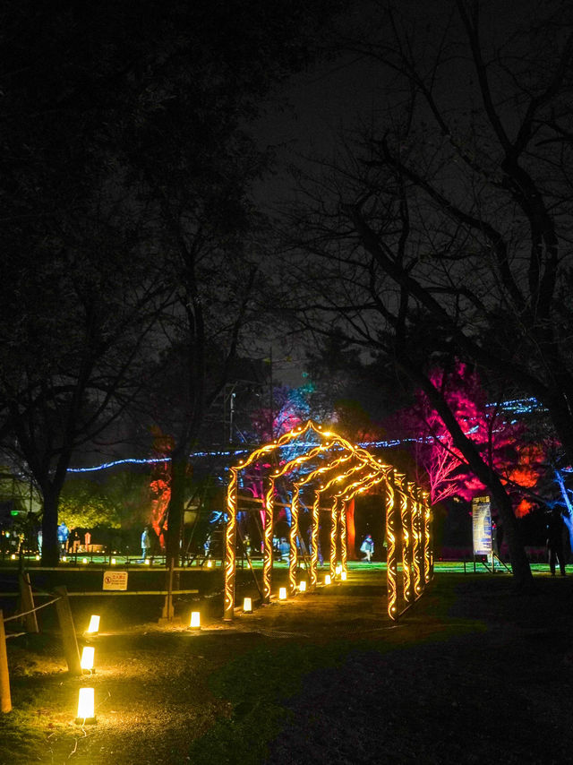 【熊本｜水前寺成趣園夜間活動】 