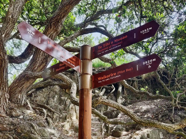 Scenic Coastal Walk: Mount Maunganui Base Hiking Trail