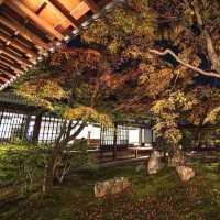 大本山·建仁寺：京都禪意的深處