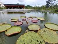 星和園遊記：新加坡的隱秘花園 