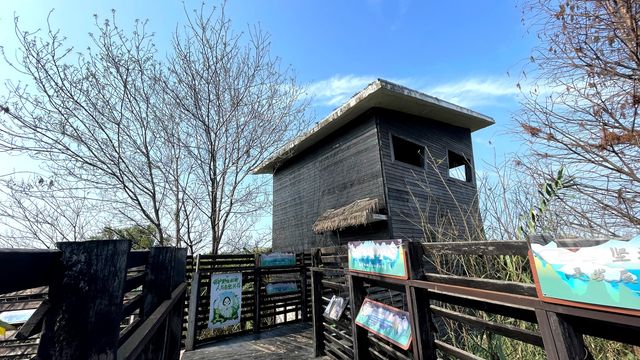 不容錯過的海珠國家濕地公園南區