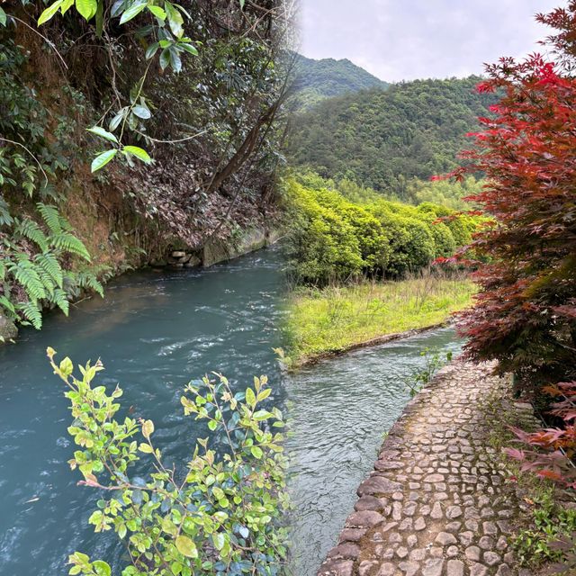 桐廬| 馬嶺古道 富春江絕美輕徒步路線