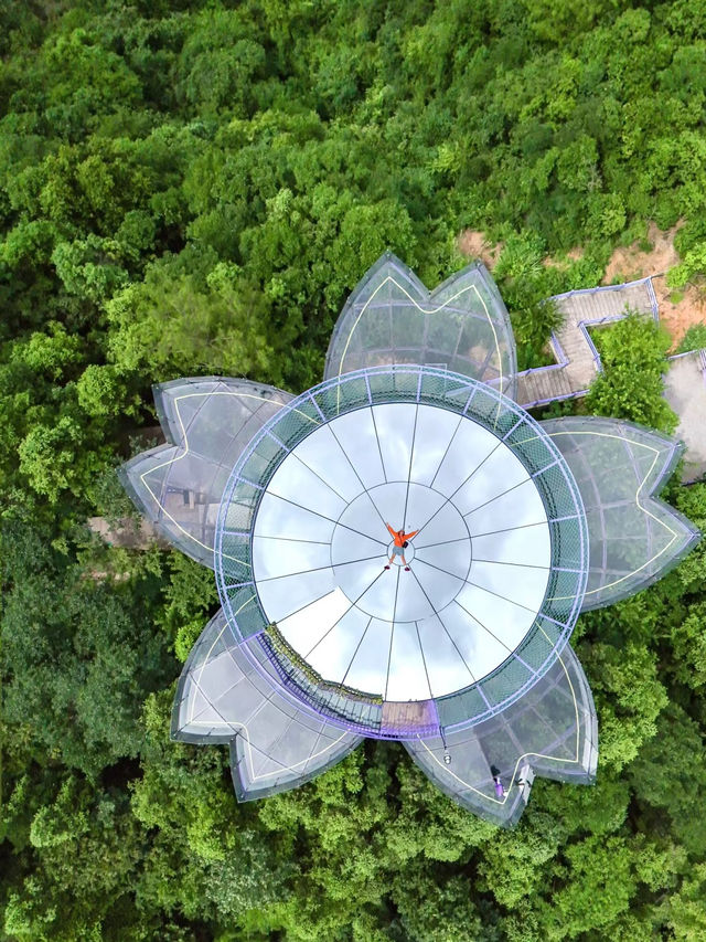 真的服杭州居然藏着個迪士尼還好玩的樂園