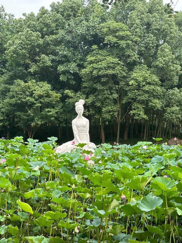 恬靜的西施故里