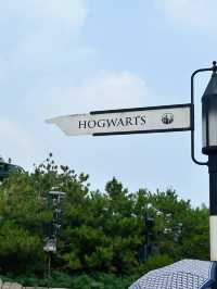 Explore the Wizarding Wonders of Harry Potter World🪄