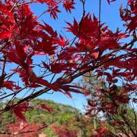 石門國家森林公園。