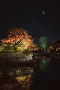 Kyoto Night Maple Viewing: A Photographer's Recommendation