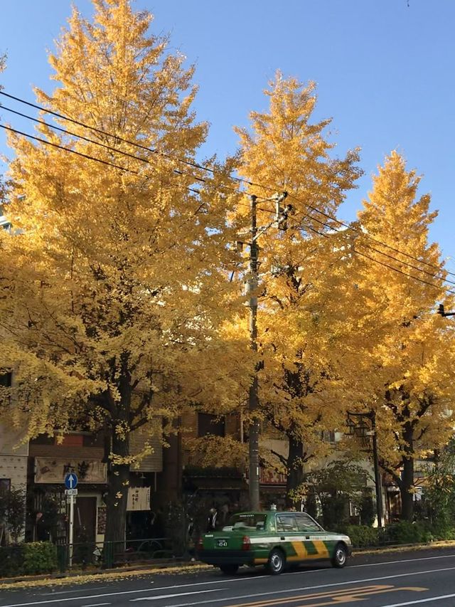 6天玩遍日本 超詳細攻略快收藏。