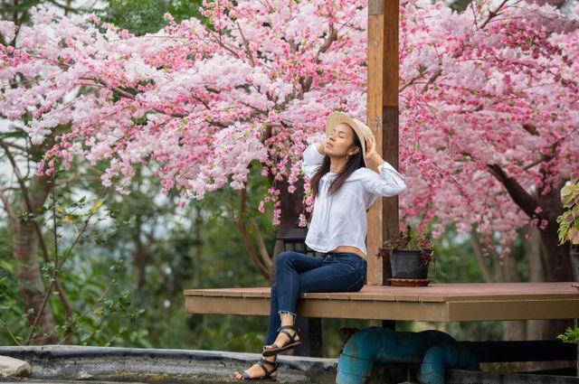 青森：自然與人文共舞的北境瑰寶。