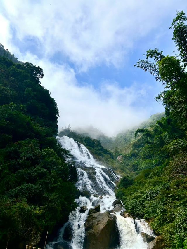 "爆紅"的哀牢山，到底是什麼山？