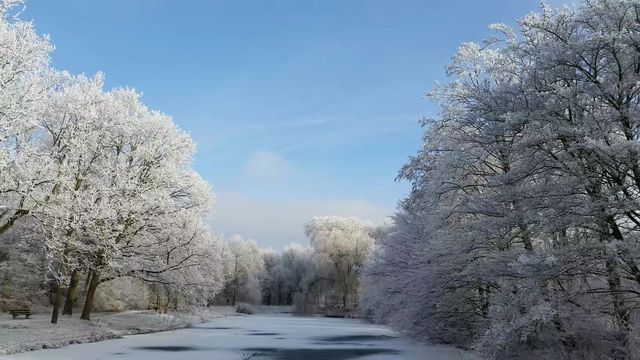 荷蘭隨手拍之冬日雪景