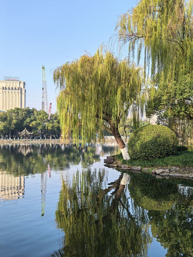 月湖公園的早晨丨穿越四季的江南園林