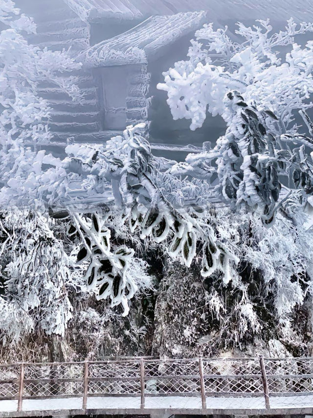 冬日遊五指山人少景美旅遊攻略