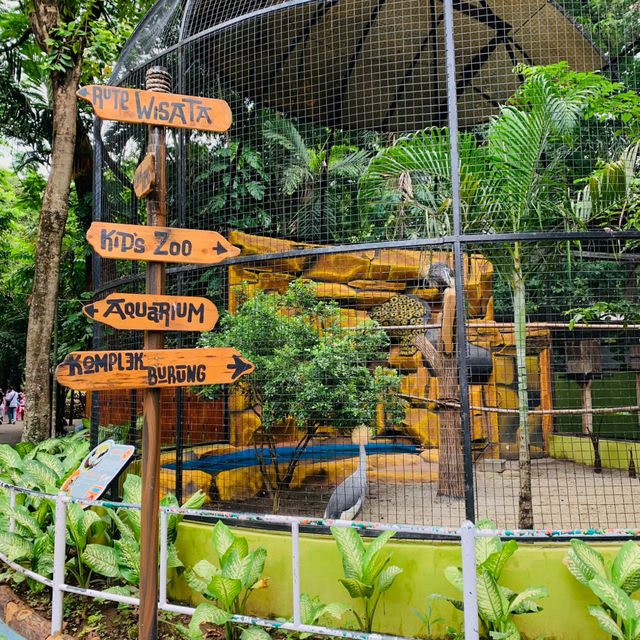 【スラバヤ/インドネシア】　見どころたっぷり“スラバヤ動物園”