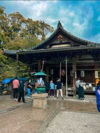 The Golden Pavilion of Kinkaku-ji in Kyoto 🇯🇵