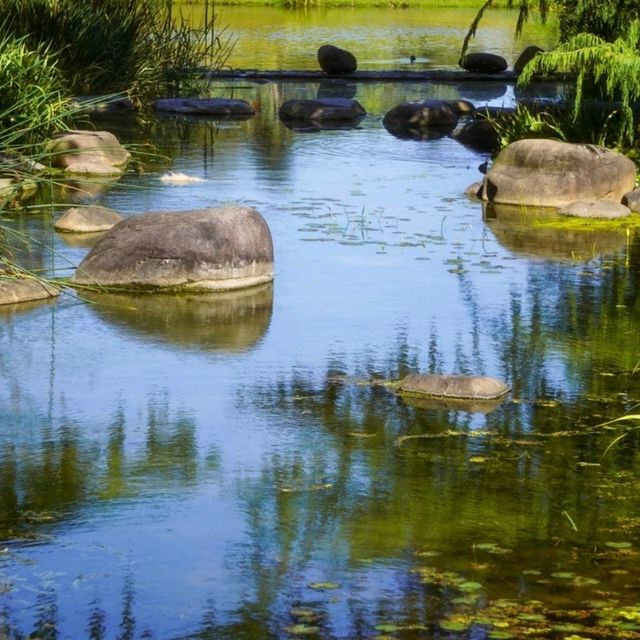 【上海辰山植物園】五彩繽紛的植物，絕佳拍照好去處