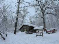 被雪包圍的地方·雪鄉十裡冰雪畫廊