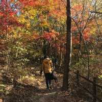 Naejangsan hiking trails in autumn