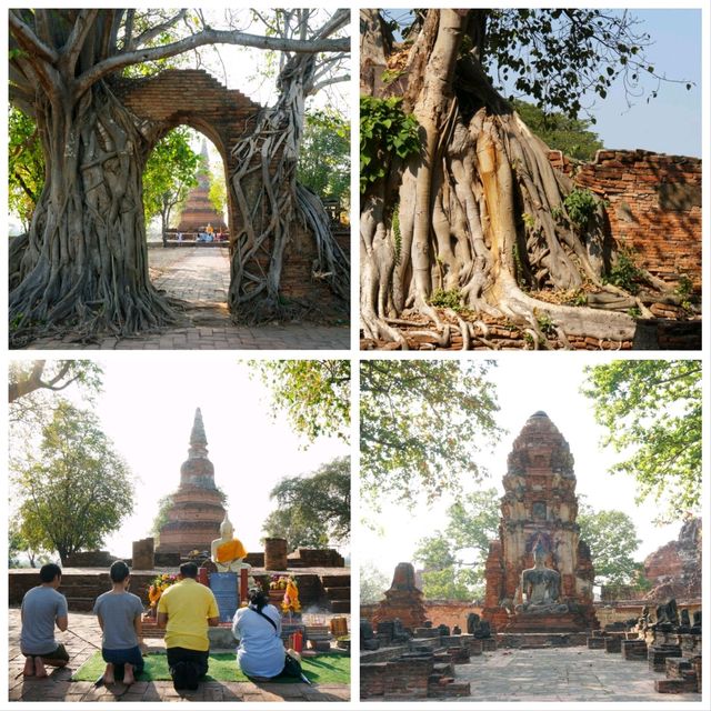 ไหว้พระ 5 วัดขอพร  1 Day Trip พระนครศรีอยุธยา