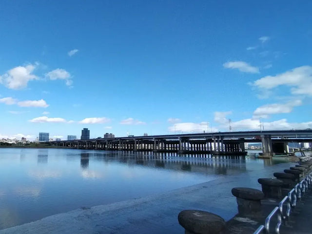 綠意與河流交織的都會綠洲——臺北延平河濱公園  