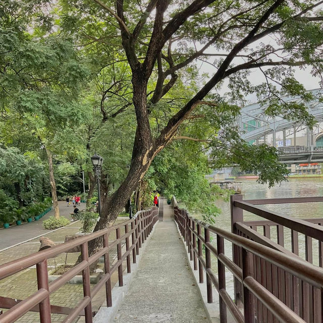 A Breath of Fresh Air at Arroceros Forest Park