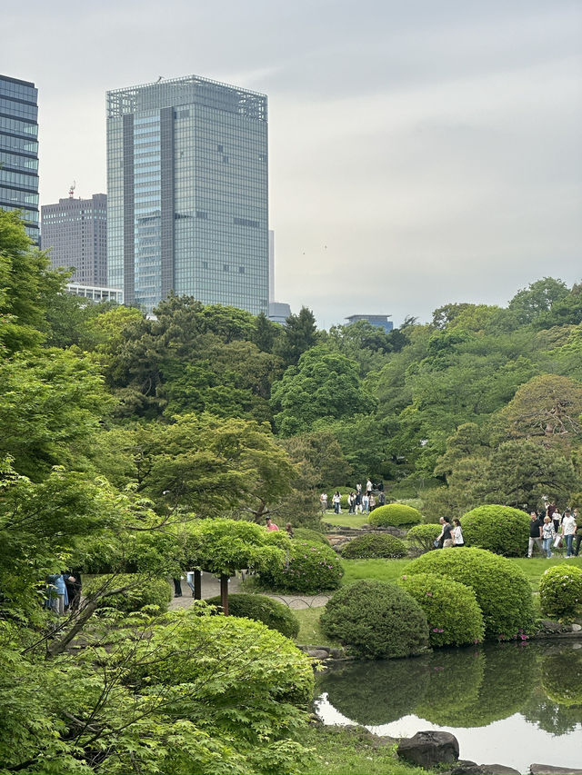 Discover Serenity at Shinjuku Gyoen, Tokyo’s Urban Escape