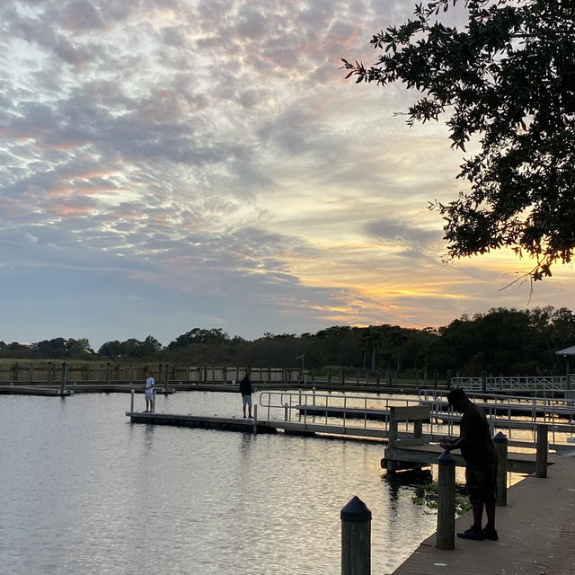 Perfect view at the local park