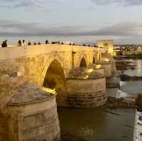 The Roman Bridge and Guadalquivir River 