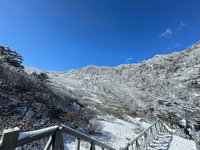 次看到蒼山雪了，感受到了生命的大自在