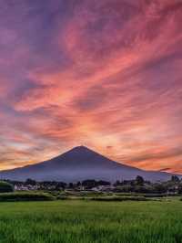 8日深度遊 邂逅日本醉美秋色。