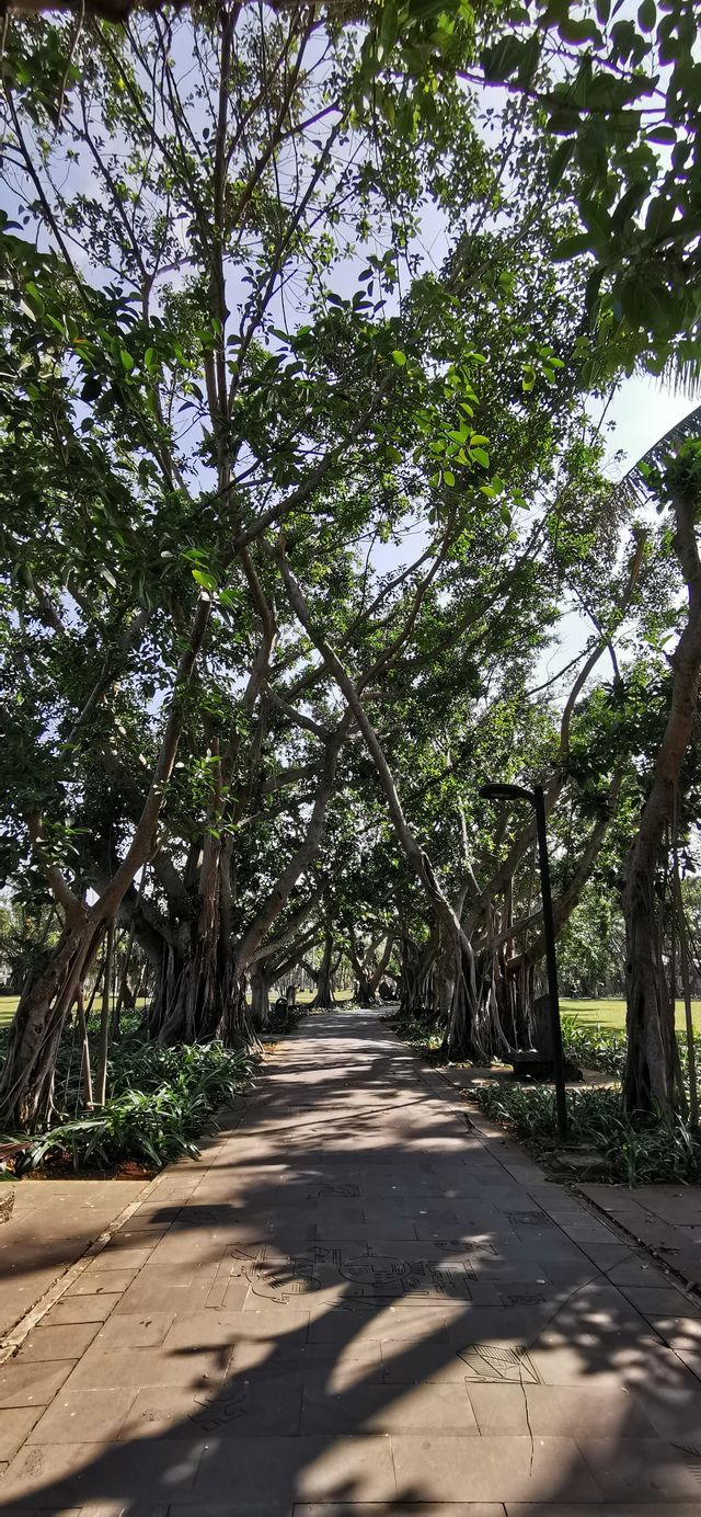 藍天白雲映照下的生態園林公園——萬綠園