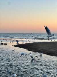 冬日暢遊秦皇島，兩天一夜怎麼玩最值？