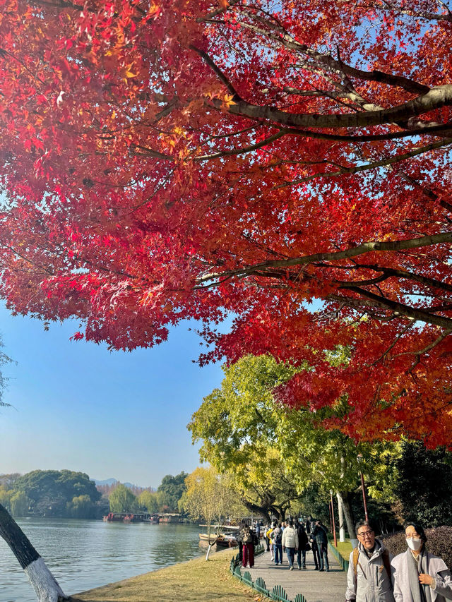 秋天來杭州，我只去一個地方